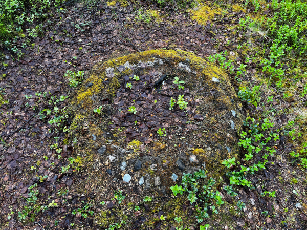 Eldstad