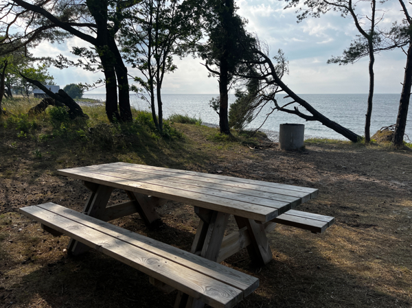 Bänkbord med eldstad i bakgrund