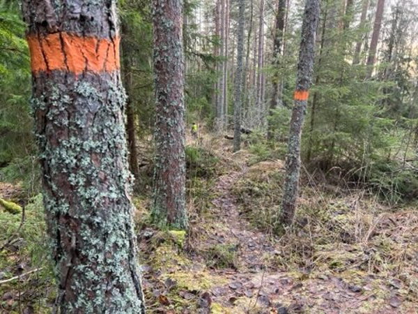 Bild från leden