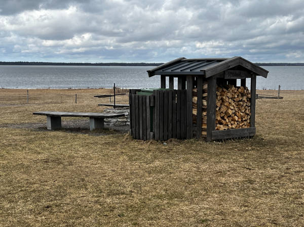 Fågeludden #2
