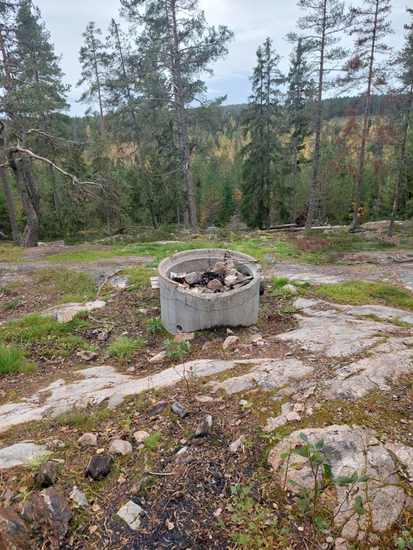 Grill Bosvedjan