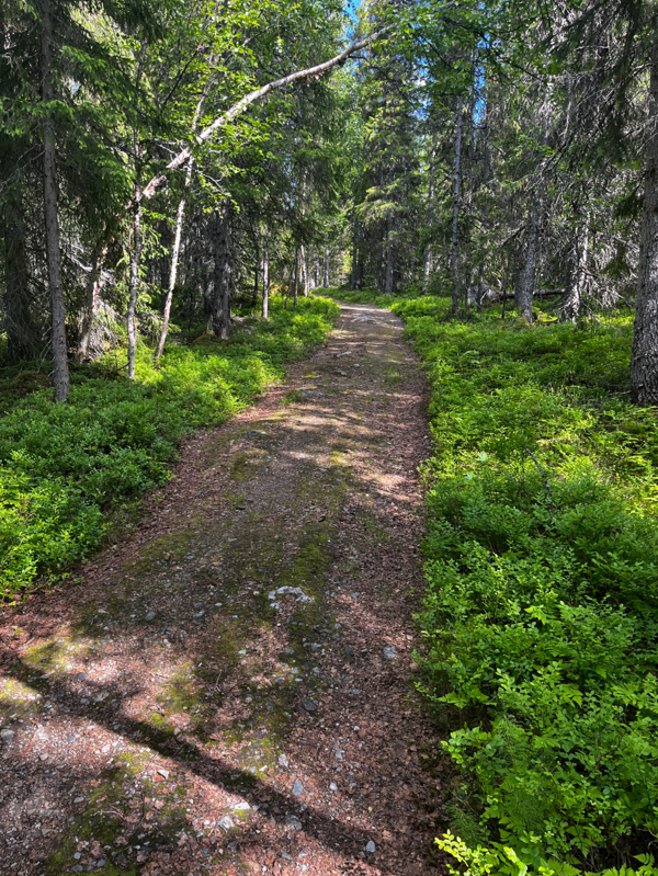 Del av stigen ner till badplatsen