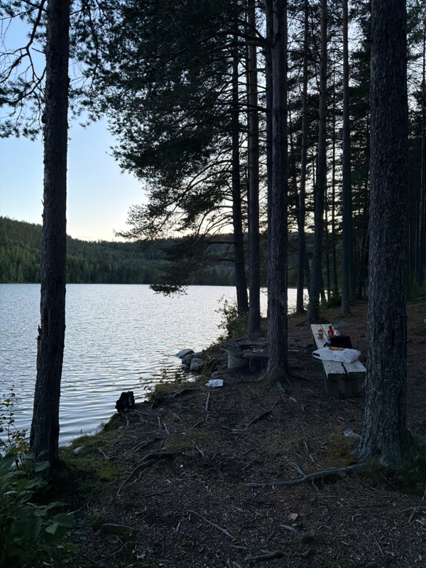 Fin grillplats vid vattnet