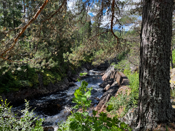 Forsande vatten i rännan
