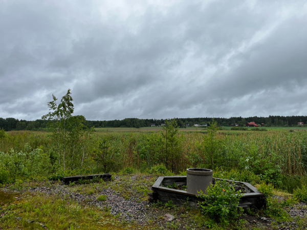 Grillplats med fågelsjön bakom