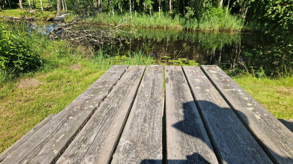 Bänk med utsikt över ån