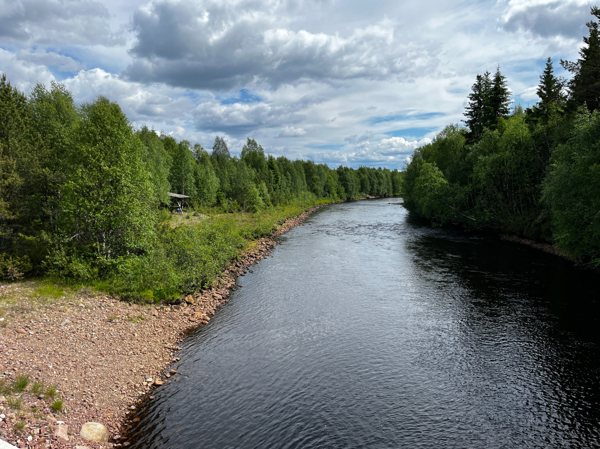 Härjån