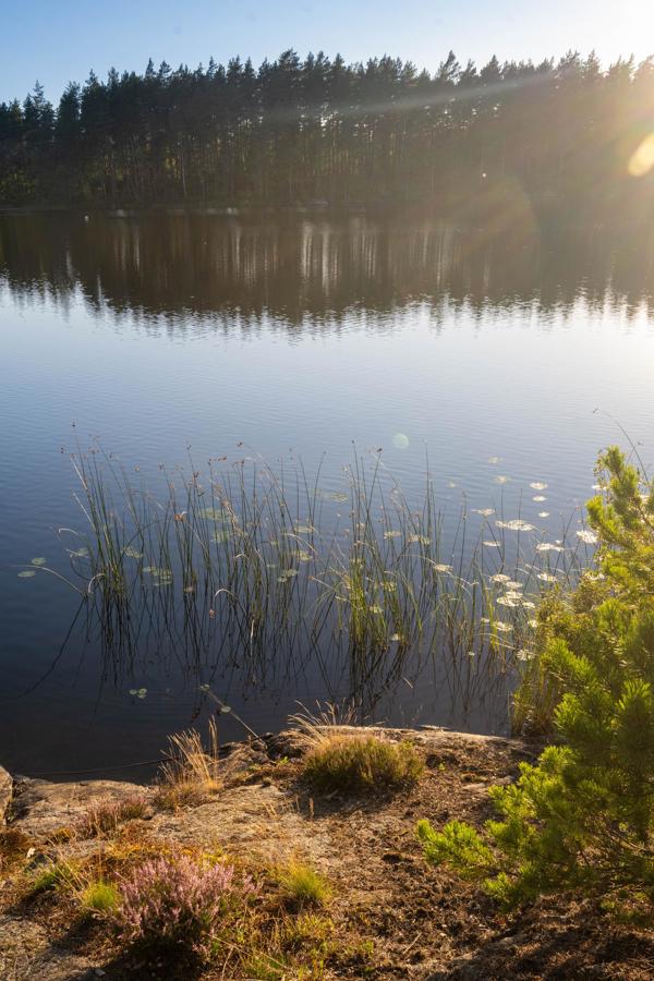 Masugnssjön Vindskydd