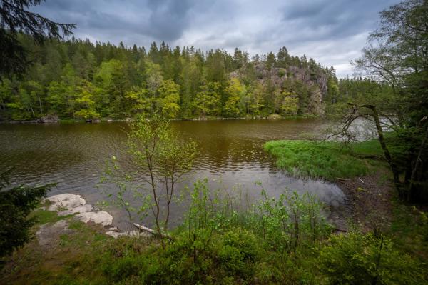 Munkedals vindskydd utsikt