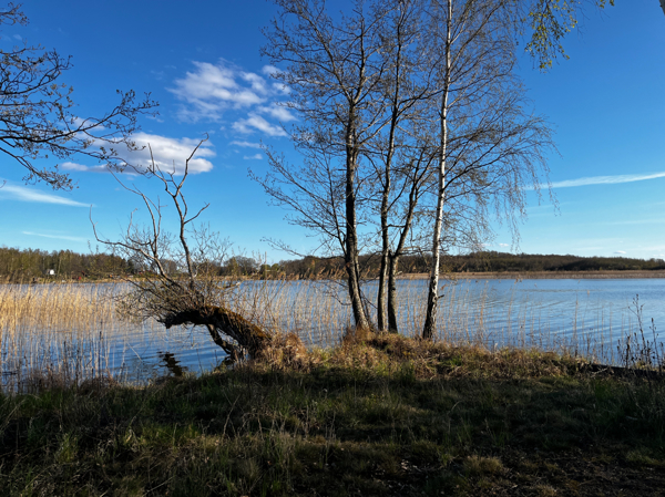 Sjöutsikt