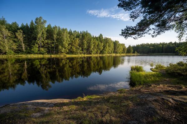 Överdammen vindskydd utsikt