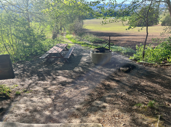 Rastplats med eldstad bokskogen