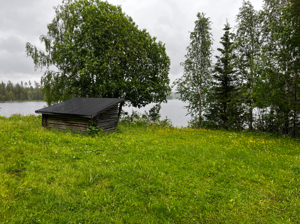 Vy mot sjön