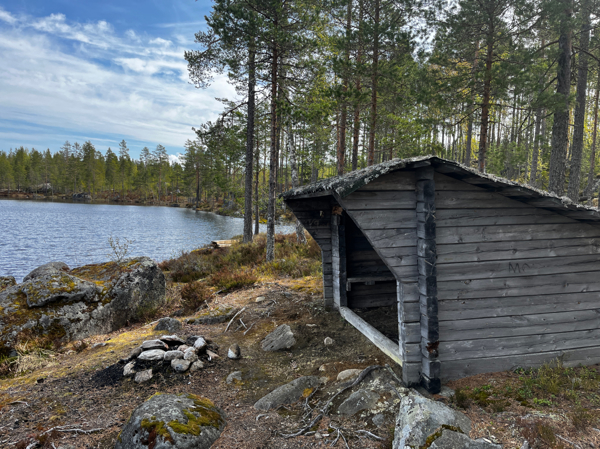 Sarvtjärn