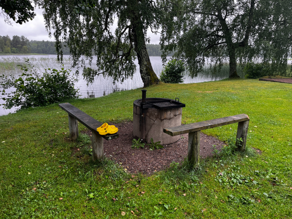Sjögarpesjöns badplats