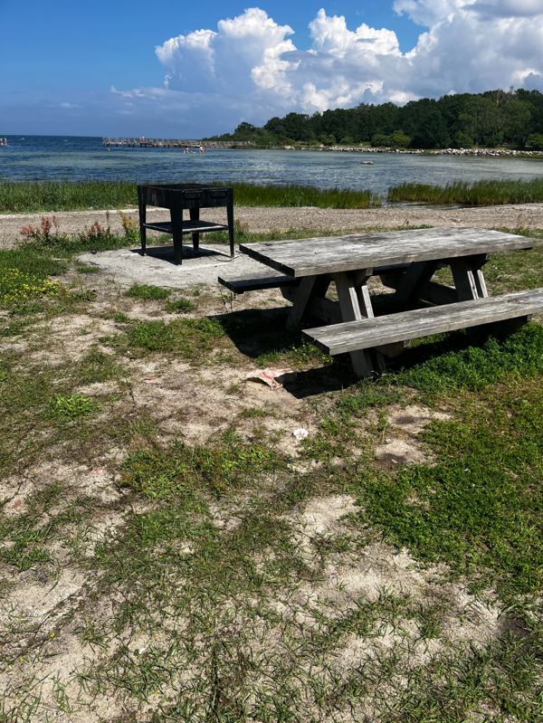 Eldstad och bänkbord