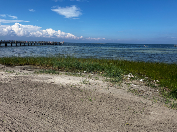 Strand och brygga