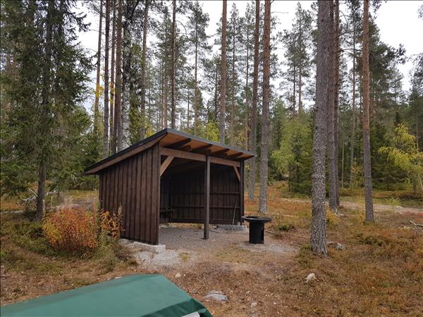 Södra Berget Tarzanstigen Skogskojan