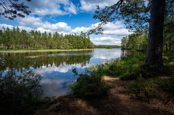 Södra Holmsjönds vindskydd