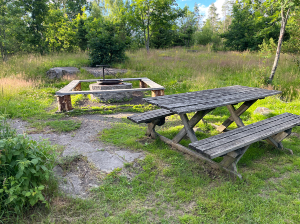 Trollskogen #2
