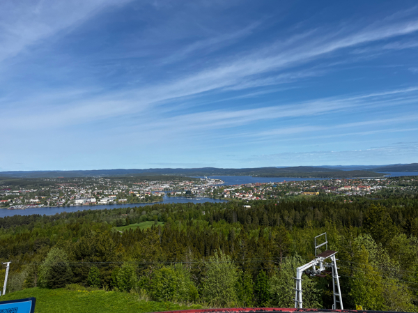 Utsikt från tornet