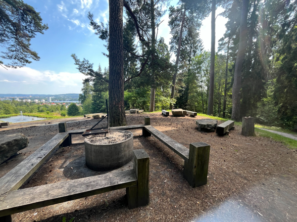 Vattenledningsparken: grillplats